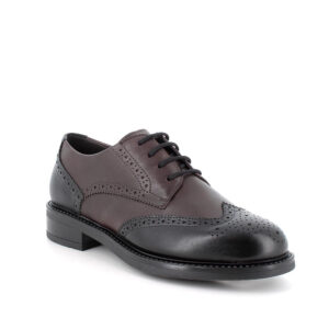 Stringate Donna Marrone e Nero con Lacci – igi&co